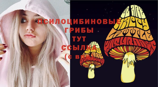 спиды Горняк