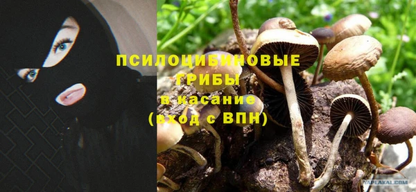 а пвп мука Гусиноозёрск
